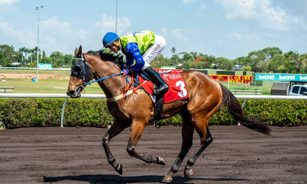 Race day 16th November 2019 | Thoroughbred Racing Northern Territory