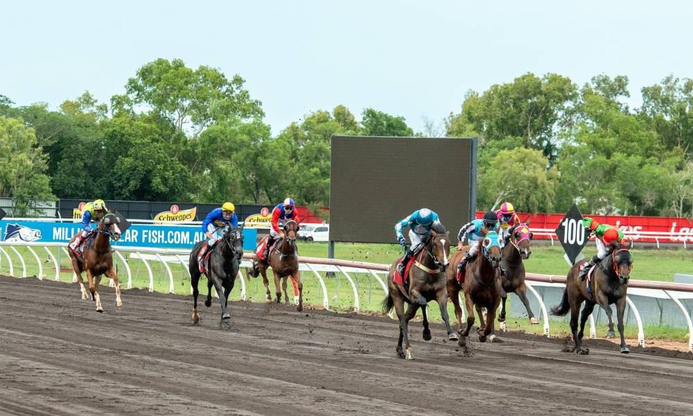 Race day 11th January 2020 | Thoroughbred Racing Northern Territory