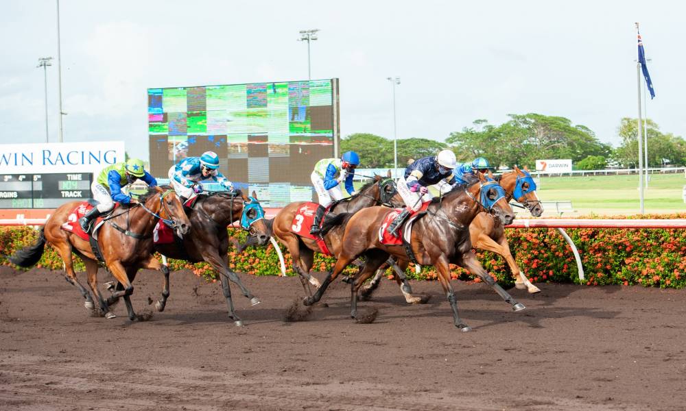 Race day 1st February 2020 | Thoroughbred Racing Northern Territory