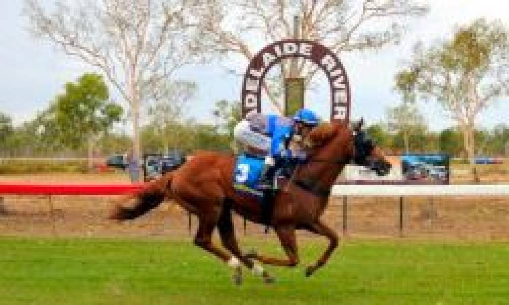 Adelaide River races now on Sky Racing 2 Thoroughbred Racing Northern