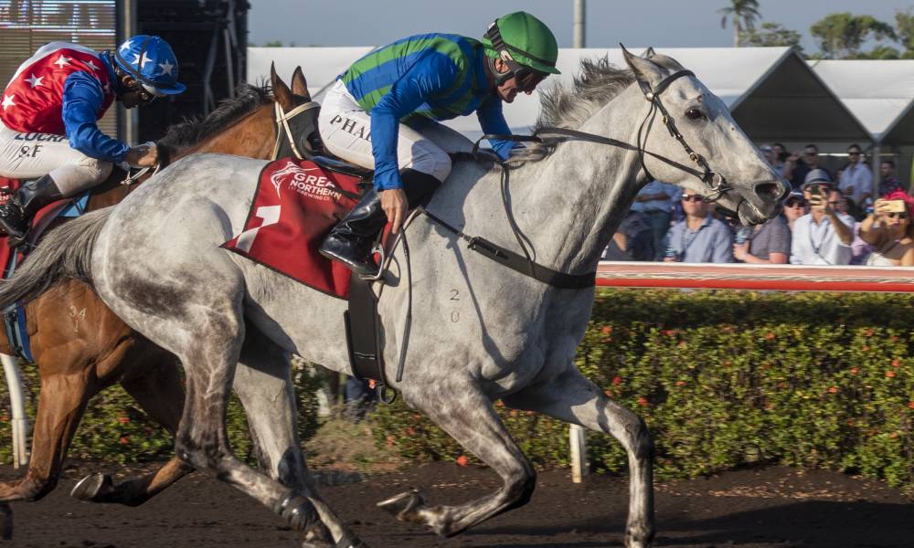 Great Northern Darwin Cup Day | Thoroughbred Racing Northern Territory