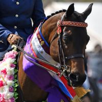 Mon Amour RDS 3