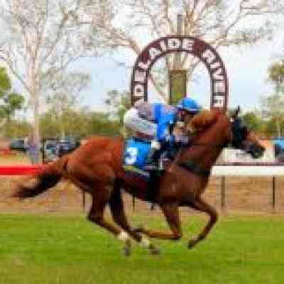 Listing posts for May 2019 | Thoroughbred Racing Northern Territory