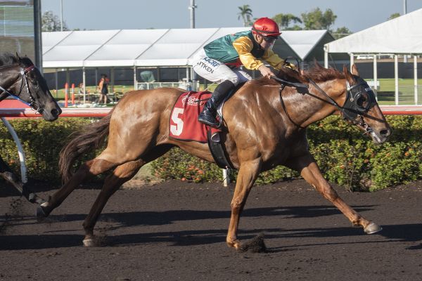Thoroughbred Racing Northern Territory
