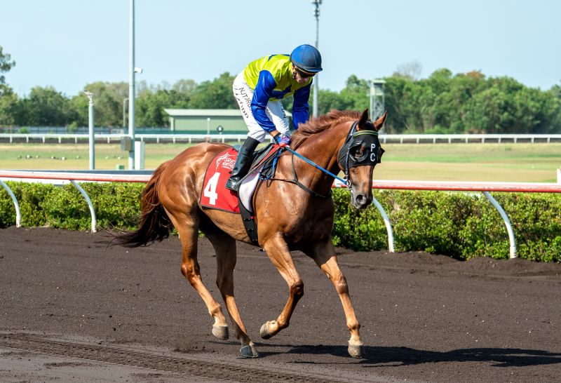 Thoroughbred Racing Northern Territory