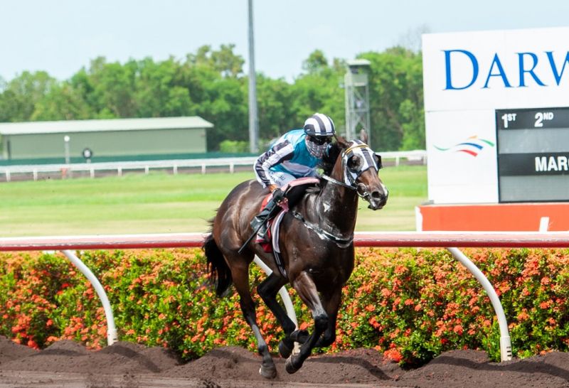 Thoroughbred Racing Northern Territory