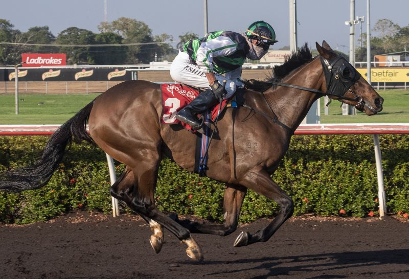 Thoroughbred Racing Northern Territory