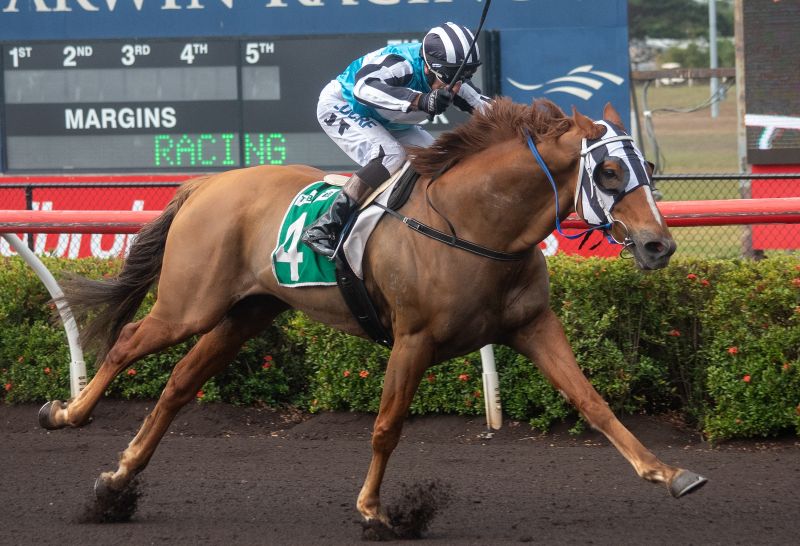 Thoroughbred Racing Northern Territory