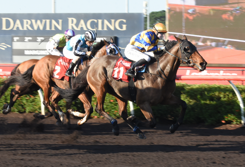 Thoroughbred Racing Northern Territory