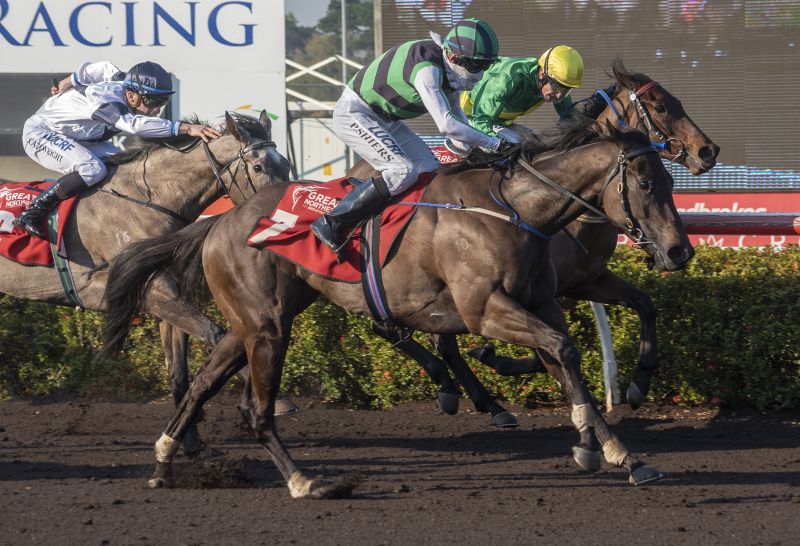Thoroughbred Racing Northern Territory